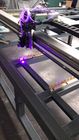 Graveur UV de laser de lit plat, diode laser de la machine de gravure de textile 405nm